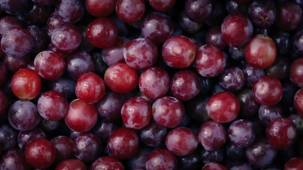 Delicious Red Grapes Rotating