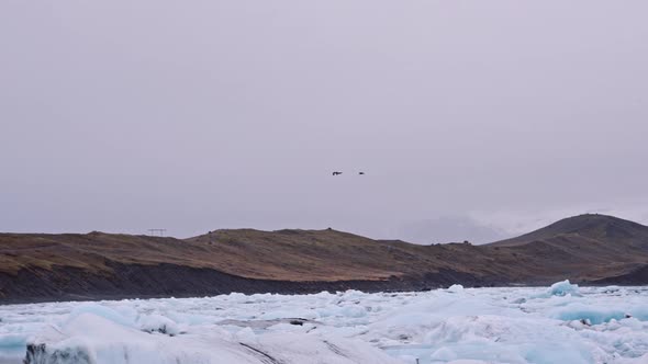 Birds Flying Over Ice of Diamond Beach Iceland