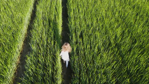 A blonde four-year-old girl in a dress runs across a wheat field in the sun.