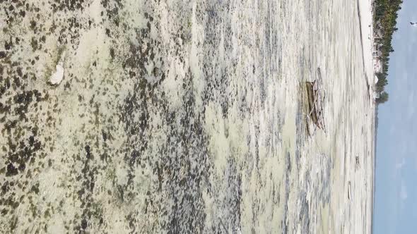 Zanzibar Tanzania  Vertical Video of Low Tide in the Ocean Near the Coast Slow Motion