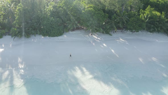 Aerial view of a person walking on the beach of Anse Lazio, Seychelles.