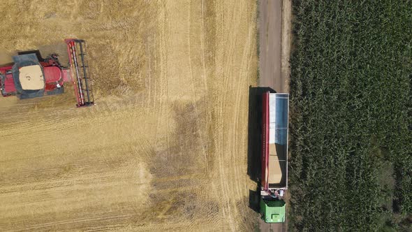 Top View Drone Flight Over a Wheat Field with a Combine Harvesting Wheat and a Truck