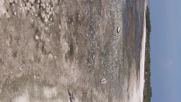 Vertical Video of Low Tide in the Ocean Near the Coast of Zanzibar Tanzania Aerial View