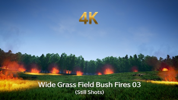 Wide Grass Field Bush Fires 03 (Still Shots)