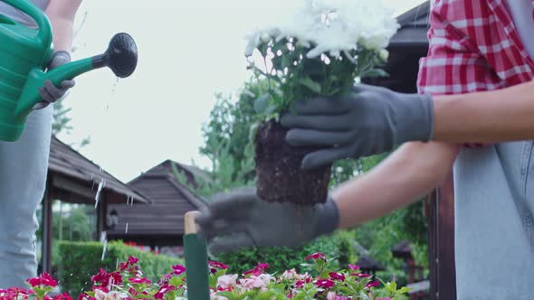 Close Up View of Two Females Planting and Watering Flowers Outside