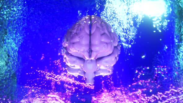A Frozen Human Brain Inside a Spinning Ice Cube