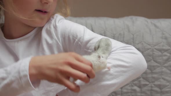 Little Girl With Hamsters