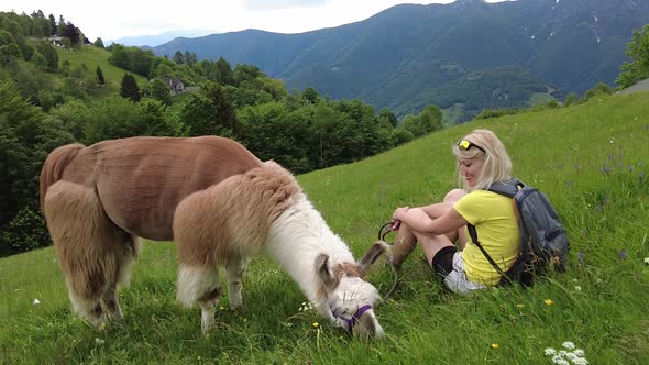 Tourist Woman with Alpaca on Comino Mount