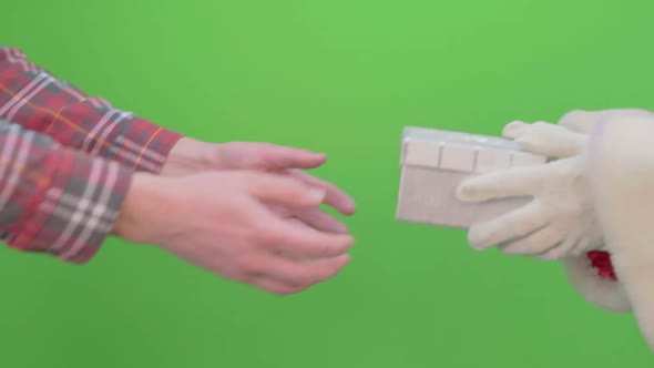 Santa Claus Hands Give a Gift. Video on Chroma Key