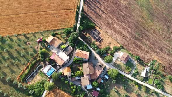 Small village in the fields with some dirt road, top down aerial drone