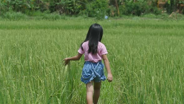 Little Girl Walking and Touching Green Rice