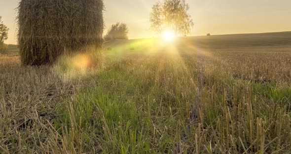 Flat Hill Meadow Timelapse at the Summer Sunset Time