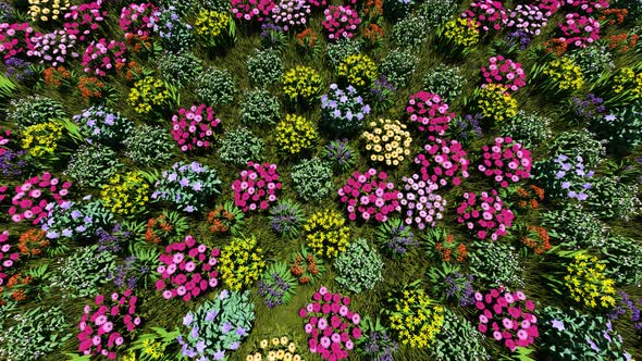 Top View Of Flowers