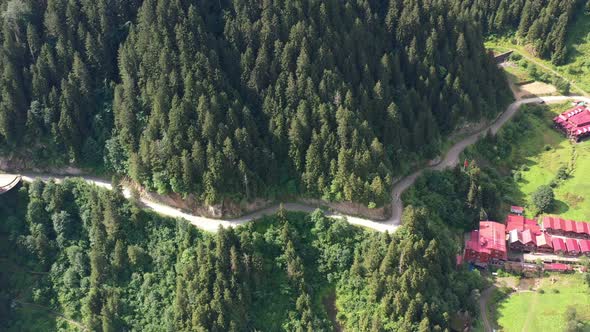 aerial view of a road carved into a mountain in Uzungol Trabzon on a sunny summer day with a beautif
