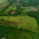 Flyover Rural Rice Paddy Fields Farmlands - VideoHive Item for Sale