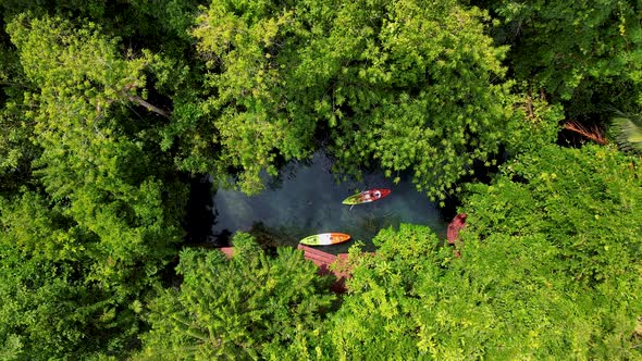 Couple in a Kayak in the Jungle of Krabi Thailand Men and Woman in Kayak at a Tropical Mangrove in