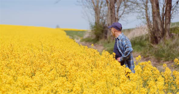 Farmer or Agronomist Walking on Agrculture Field and Looking at Crops