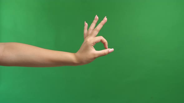 Woman's Hand Ok Sign On Green Screen Background