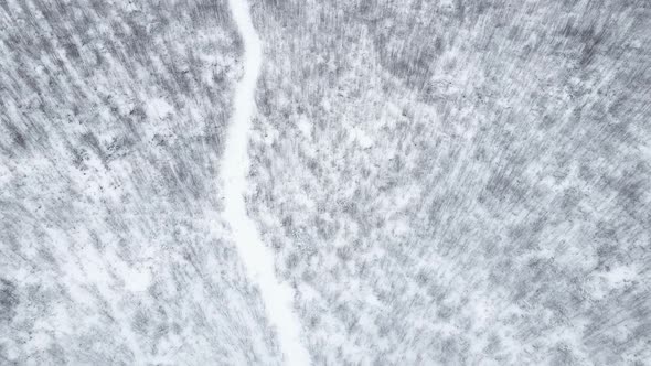 Winter Snow Covered Field with Forest and Path Flying