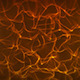 Fire Orange Animated Loop Background - VideoHive Item for Sale