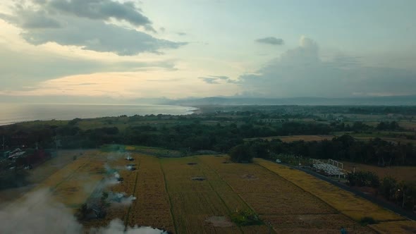 Aerial shot flying backwards over straw burning in rice crop fields during harvest season in Bali at