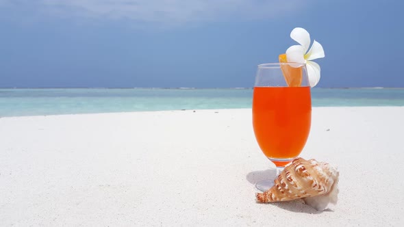 Aerial drone sky of idyllic seashore beach wildlife by blue ocean with white sand background of a pi