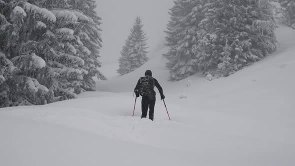 Man Ski Touring In Snow Covered Forest