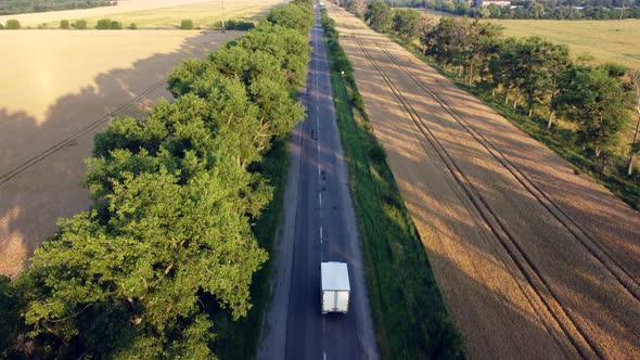 Aerial Drone View Flight Over Highway Wheat Field and Green Trees at Sunset Dawn