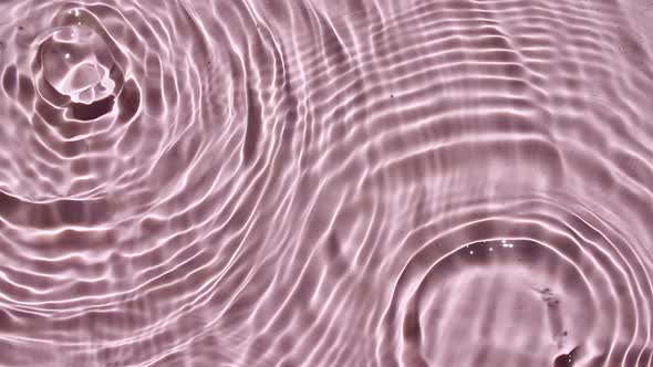Top View Slow Motion of Drop Falls Into Water and Diverging Circles of Water on Pink Background