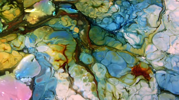 Vibrant Colours Paint Swirling Explosion 52 alt