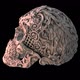 Carved ceramic skull with alpha - VideoHive Item for Sale