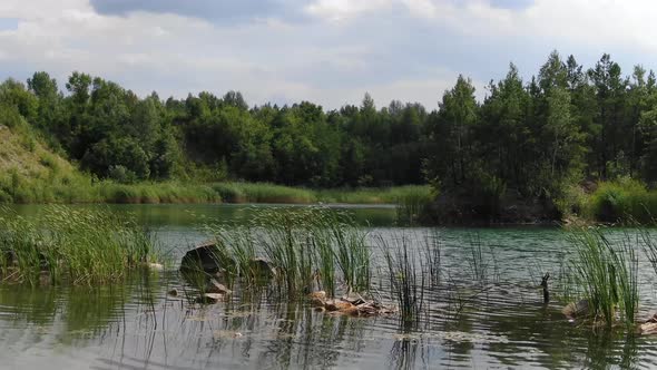 Low View of Beautiful Summer Lake With Grass in Foreground Surrounded by Forest Tracking Forward