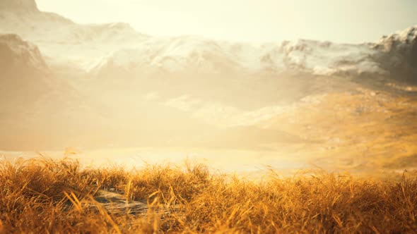 Dry Grass and Snow Covered Mountains in Alaska