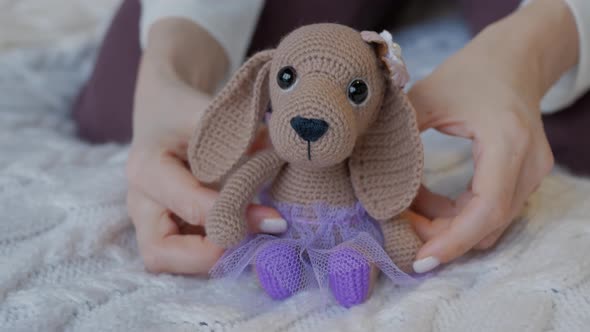 Woman Play with Handmade Toy. Close-up Female Hands Holding a Toy in the Hands of a Plush Puppy with