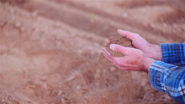 Farmer Examining Organic Soil in Hands, Farmer Touching Dirt in Agriculture Field