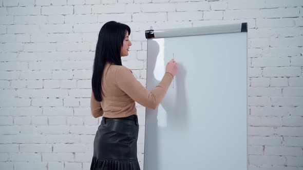 Corporate lady with display board. Young business woman giving presentation