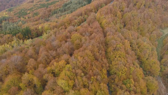 Aerial footage, long road in the middle of the Balkans woods during the autumn, Bulgaria