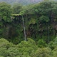 Natural scenery rain forest and waterfalls on a rocky cliff - VideoHive Item for Sale