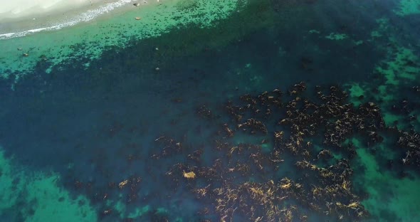 Aerial Daytime Wide Overhead Shot Of Turquoise Ocean Seaweed Patterns Tilts Up Revealing Pristine Sa