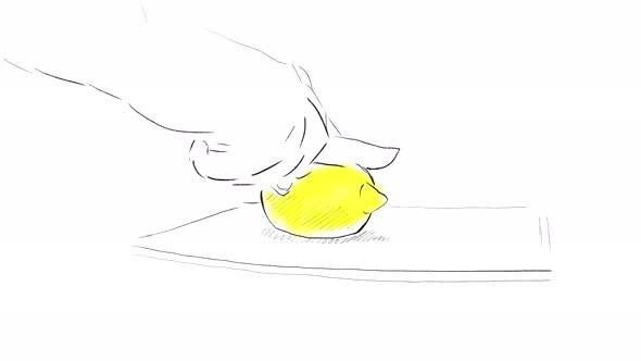 Lemon Slicing