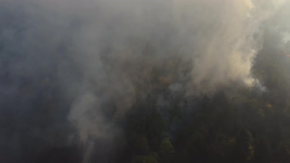 Fire in the forest aerial view. Cinematic aerial shot fire in the forest.