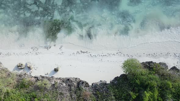 Empty Beach on Zanzibar Island Tanzania Slow Motion