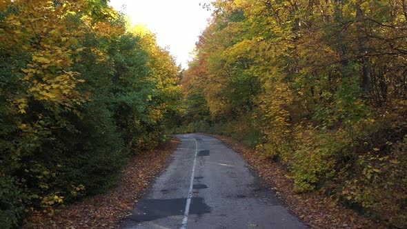 Flight Low Over  Autumn Forest And Old Asphalt Road 2