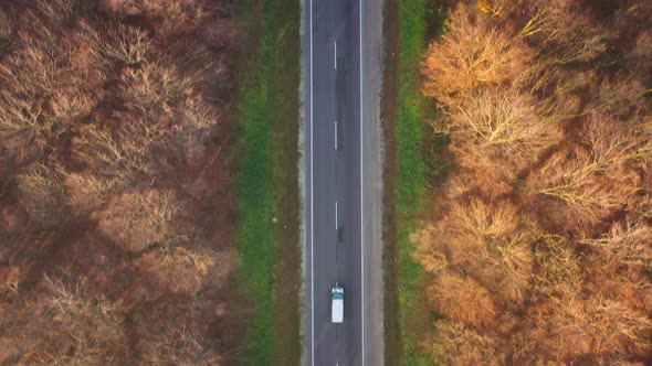 View From the Height of the Traffic on the Road Surrounded By Autumn Forest