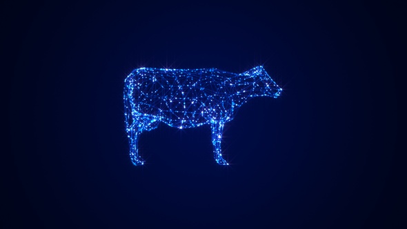 Cow 3D Hologram