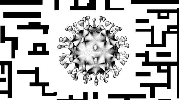 QR Code of a Person Vaccinated Against Coronavirus on a Smartphone