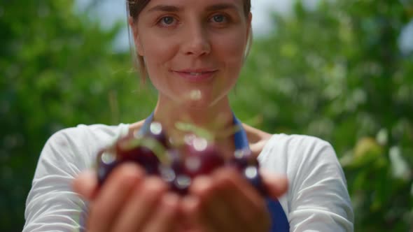 Agronom Woman Presenting Cherries Harvest in Hands at Small Farm Plantation