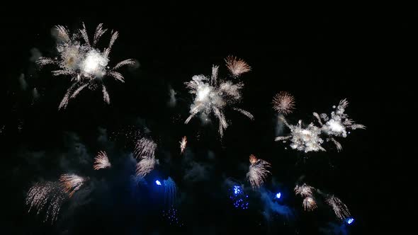 Colorful Firework display at night on sky background