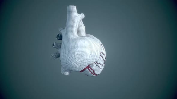 Heart 3D Animation - Beating Loop FullHD