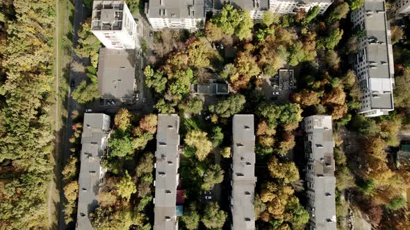 Residential Buildings Between Trees and Forest City with a Lot of Forest Drone